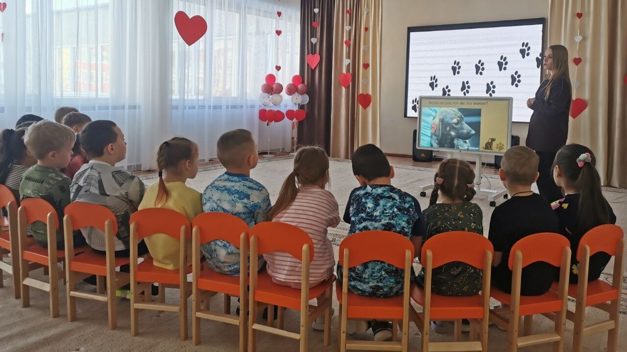 Урок добра: учимся заботиться о братьях наших меньших