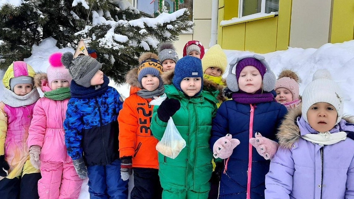 Заботимся о пернатых друзьях!